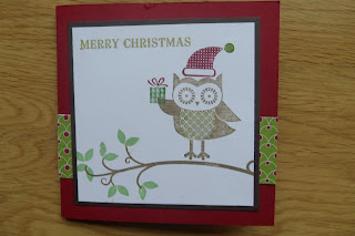 Christmas Owl Occasions