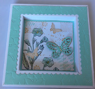 Butterfly basics shadow box frame