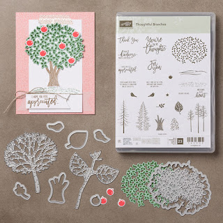 Thoughtful Branches Stamps & Framelits for August only