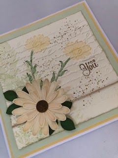 daisy lane and daisy delight bundles