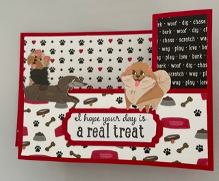 Playful pets wiper cards