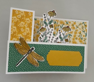 Dragonfly Garden Wiper Card