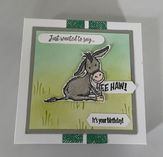 darling donkeys card in a box